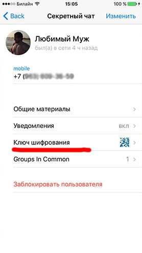 Как начать секретный чат. Секретный чат. Секретные чаты в Telegram. Секретный чат в телеграмме. Как выглядит секретный чат в телеграмме.